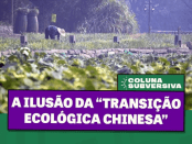 Imagem de trabalhadores rurais na China com o texto em destaque: A ilusão da “Transição Ecológica Chinesa”